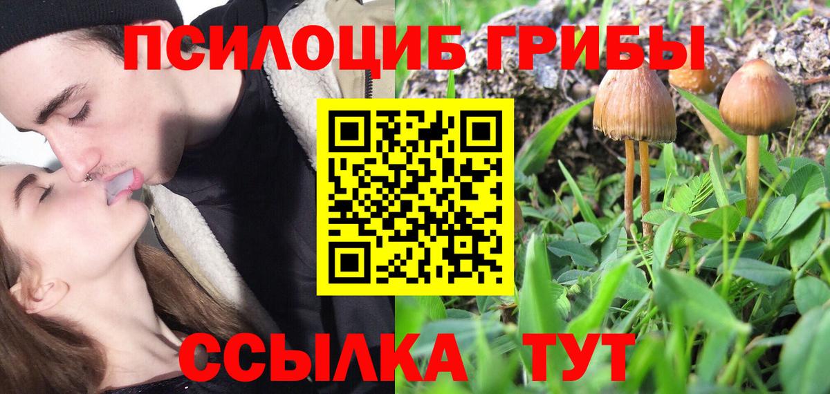 Псилоцибиновые грибы Psilocybe  Вход с VPN  Крымск  Псилоцибиновые грибы Magic Shrooms 